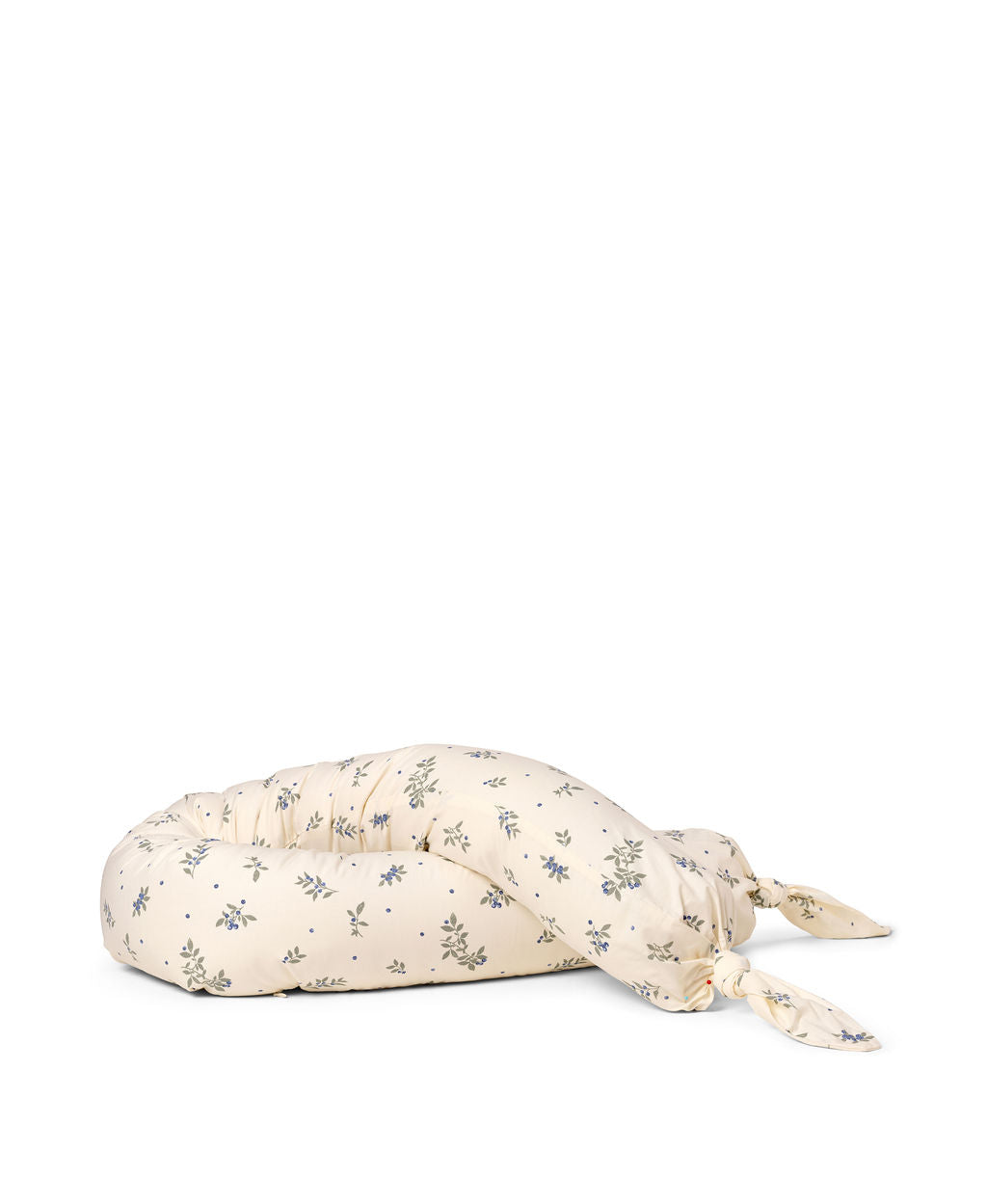 Dear April Skye Bettschlange, Blueberries