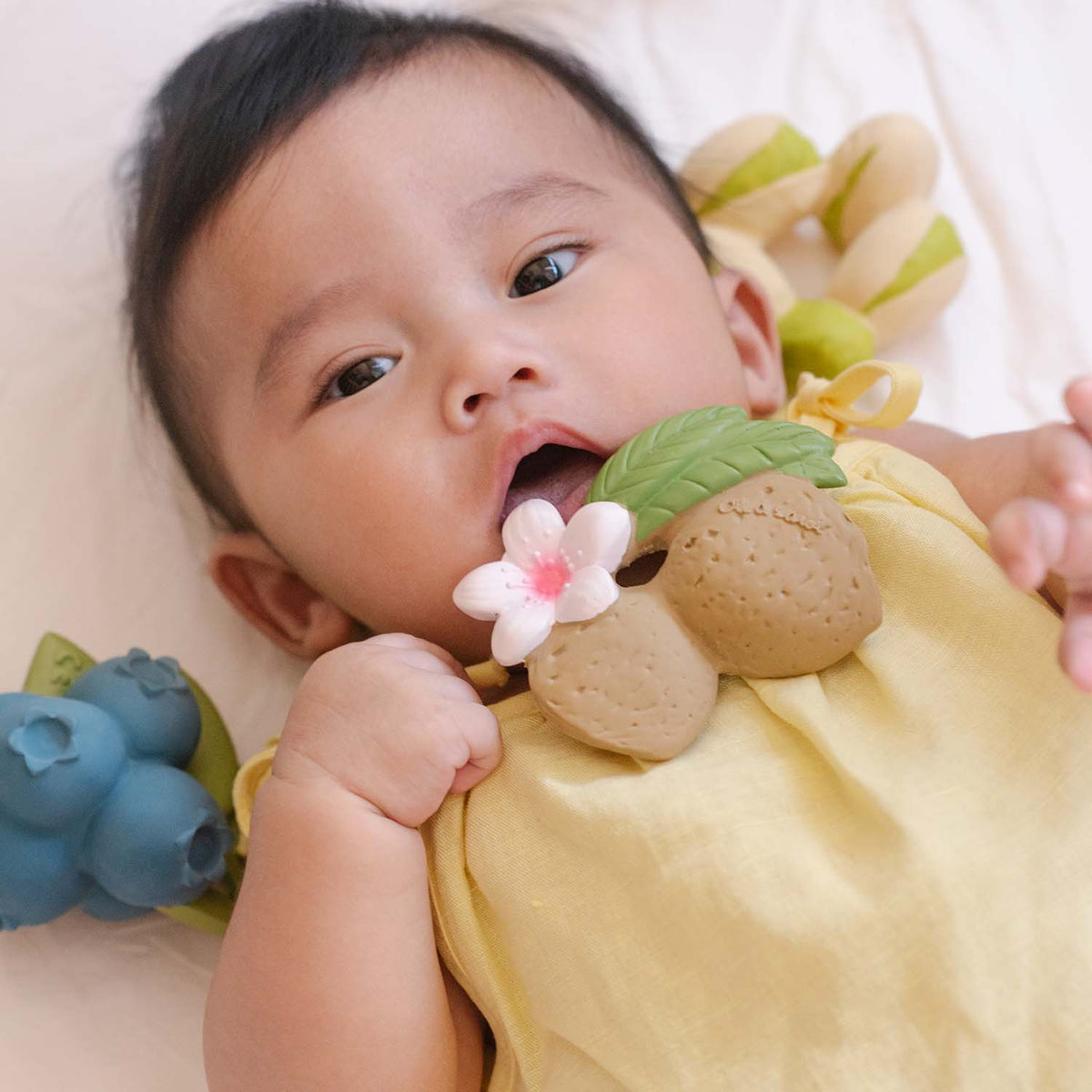 OLI & CAROL Aly the Almond Baby Teether