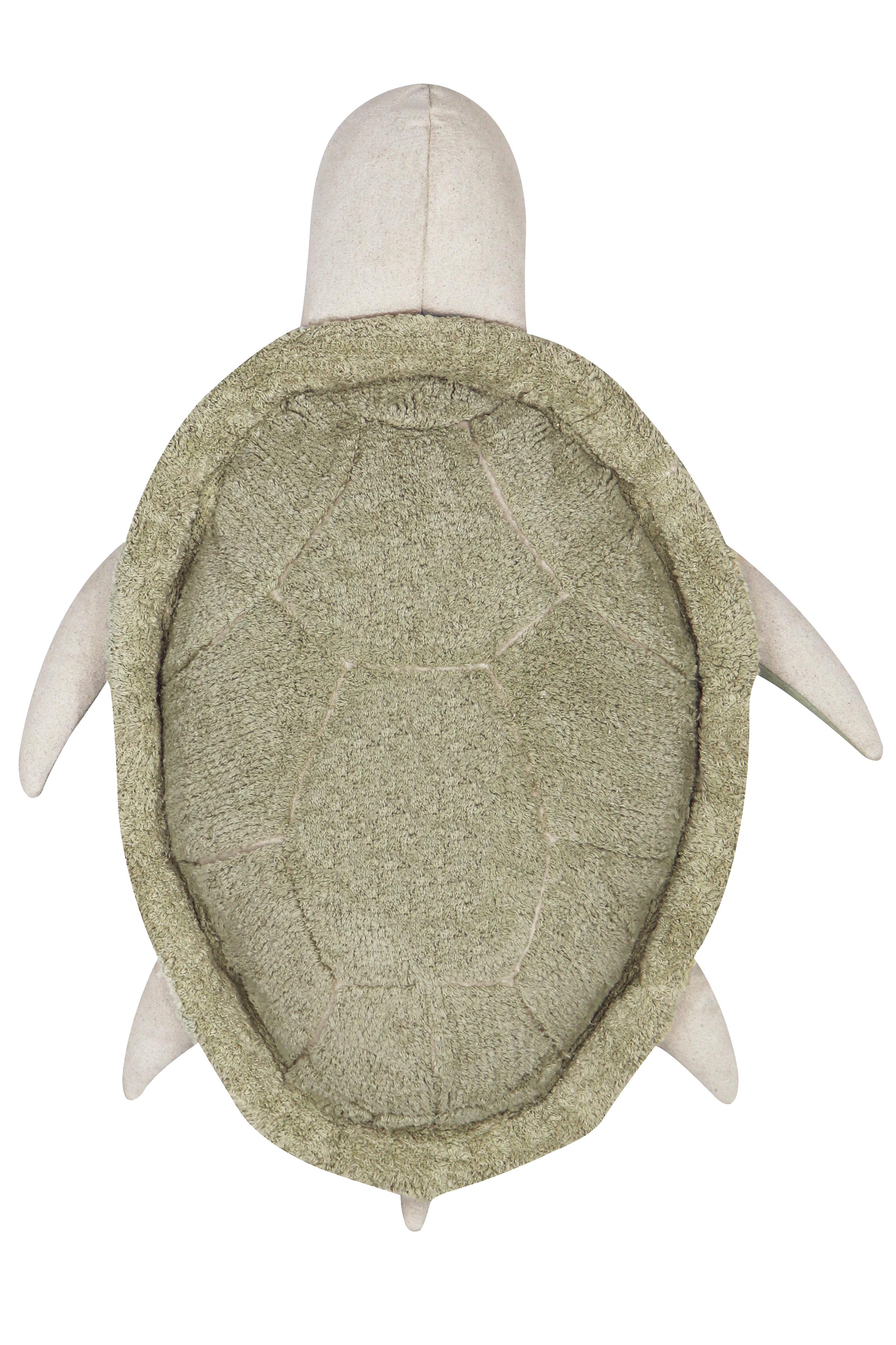 P-TURTLE_2.png