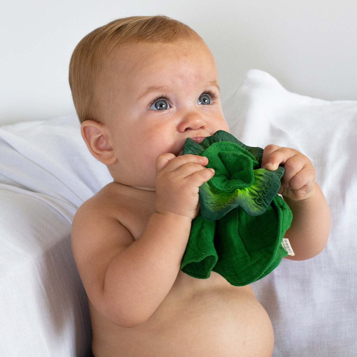 OLI & CAROL Kendall the Kale Lovey-Teether