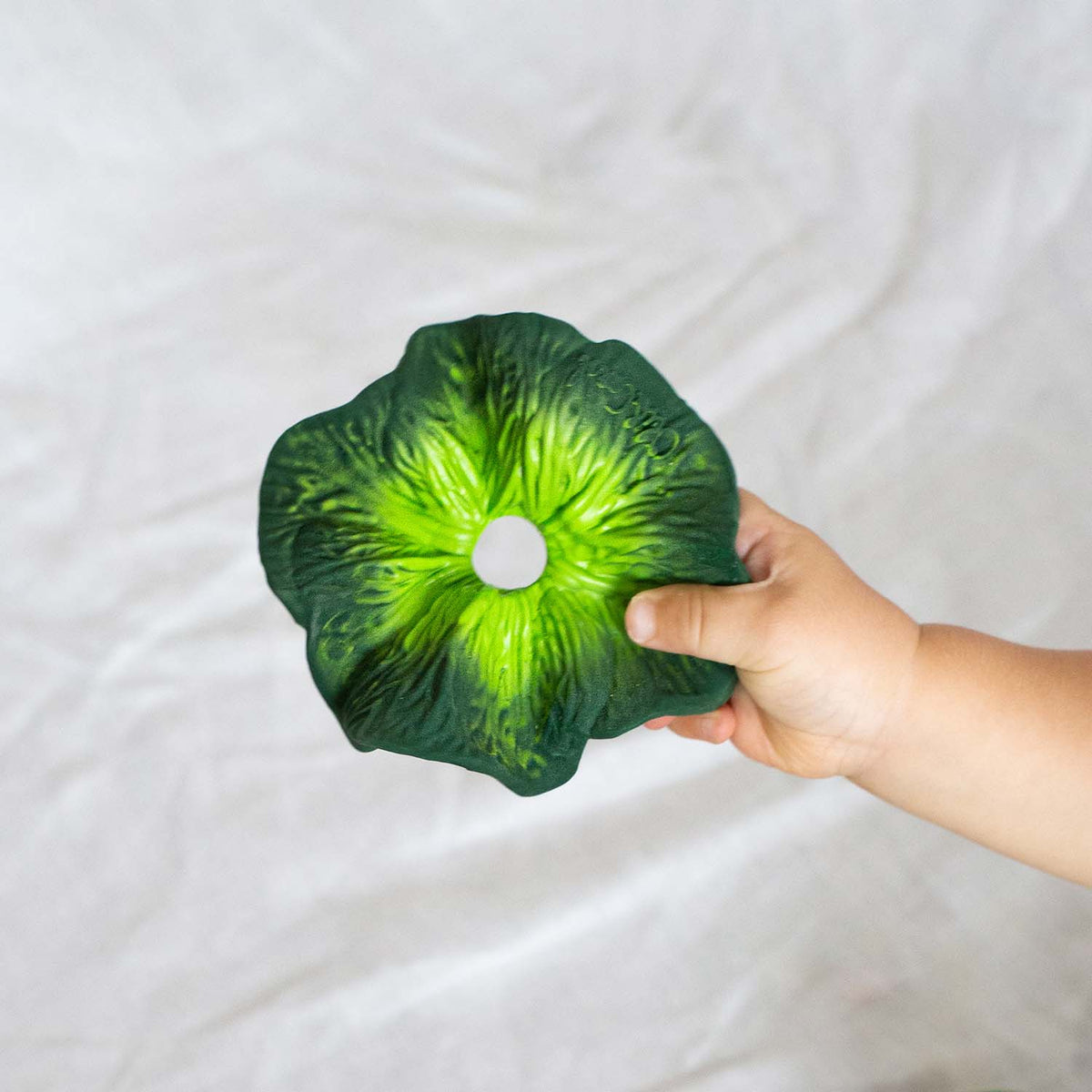 OLI & CAROL Kendall the Kale Lovey-Teether